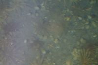 
DSC00230
